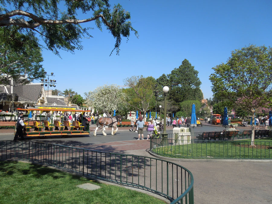 Disneyland Center Circle Picture